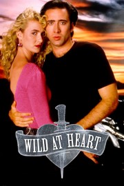 Wild at Heart-voll