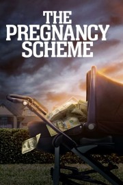 The Pregnancy Scheme-voll