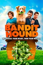 The Bandit Hound-voll