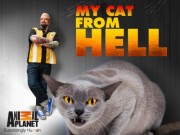 My Cat from Hell-voll