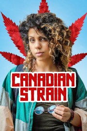 Canadian Strain-voll