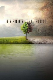 Before the Flood-voll