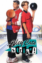 Alley Cats Strike-voll