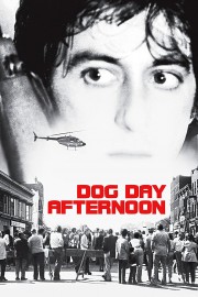 Dog Day Afternoon-voll
