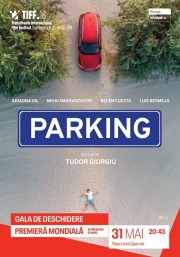Parking-voll