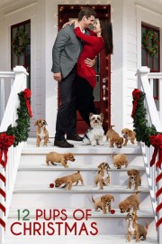 12 Pups of Christmas-voll