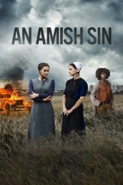 An Amish Sin-voll