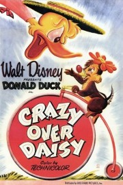 Crazy Over Daisy-voll