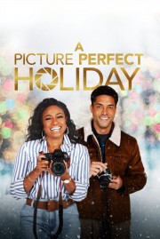 A Picture Perfect Holiday-voll