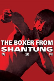 The Boxer from Shantung-voll