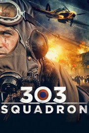 303 Squadron-voll