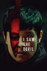 I Saw the Devil-voll