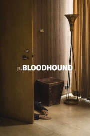 The Bloodhound-voll
