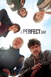 A Perfect Day-voll