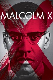 Malcolm X-voll