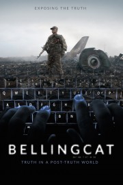 Bellingcat: Truth in a Post-Truth World-voll
