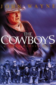 The Cowboys-voll