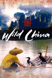Wild China-voll