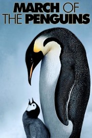 March of the Penguins-voll
