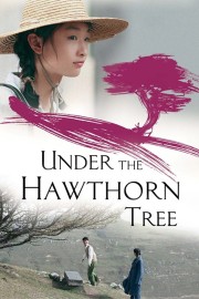 Under the Hawthorn Tree-voll