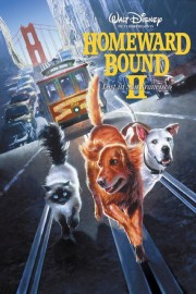 Homeward Bound II: Lost in San Francisco-voll