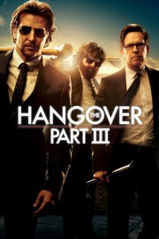The Hangover Part III-voll