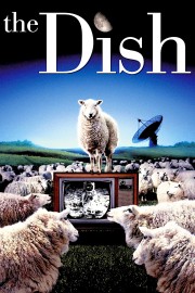 The Dish-voll