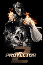 The Protector 2-voll