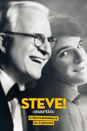 STEVE! (martin) a documentary in 2 pieces-voll