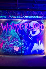 Wonderland-voll