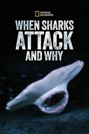 When Sharks Attack... and Why-voll