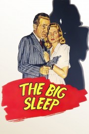 The Big Sleep-voll