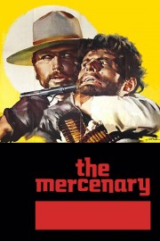 The Mercenary-voll