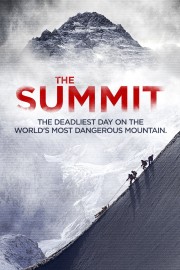 The Summit-voll