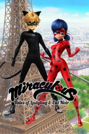 Miraculous: Tales of Ladybug & Cat Noir-voll