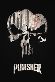 Marvel's The Punisher-voll