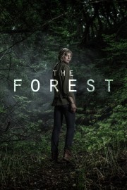 The Forest-voll