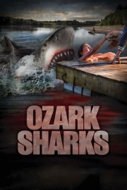 Ozark Sharks-voll
