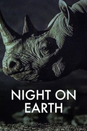 Night on Earth-voll