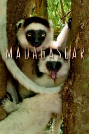 Madagascar-voll