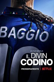 Baggio: The Divine Ponytail-voll