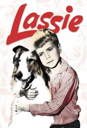 Lassie-voll