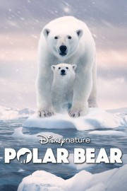Polar Bear-voll