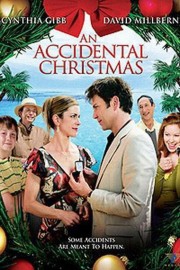 An Accidental Christmas-voll