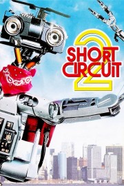 Short Circuit 2-voll
