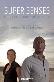 Super Senses: The Secret Power of Animals-voll