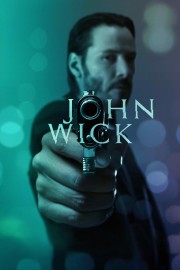 John Wick-voll