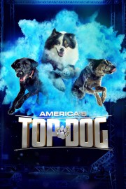 America's Top Dog-voll