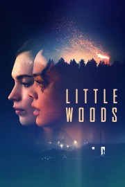 Little Woods-voll