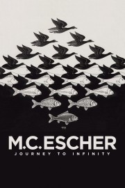 M.C. Escher: Journey to Infinity-voll